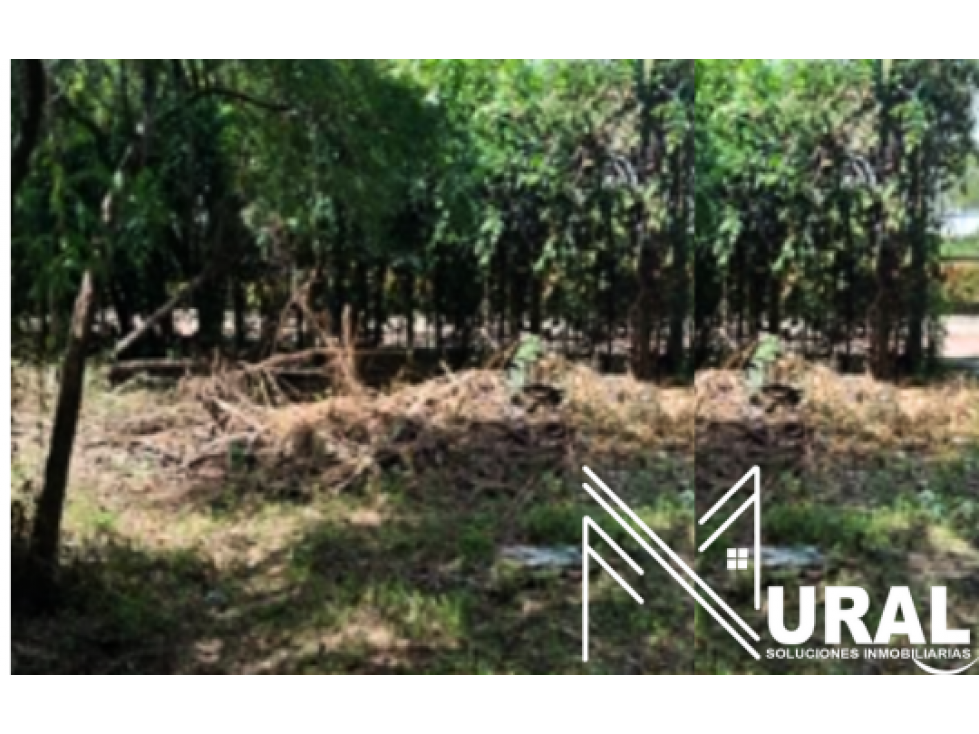 Lote - Terreno en Ricaurte, Cundinamarca - 2