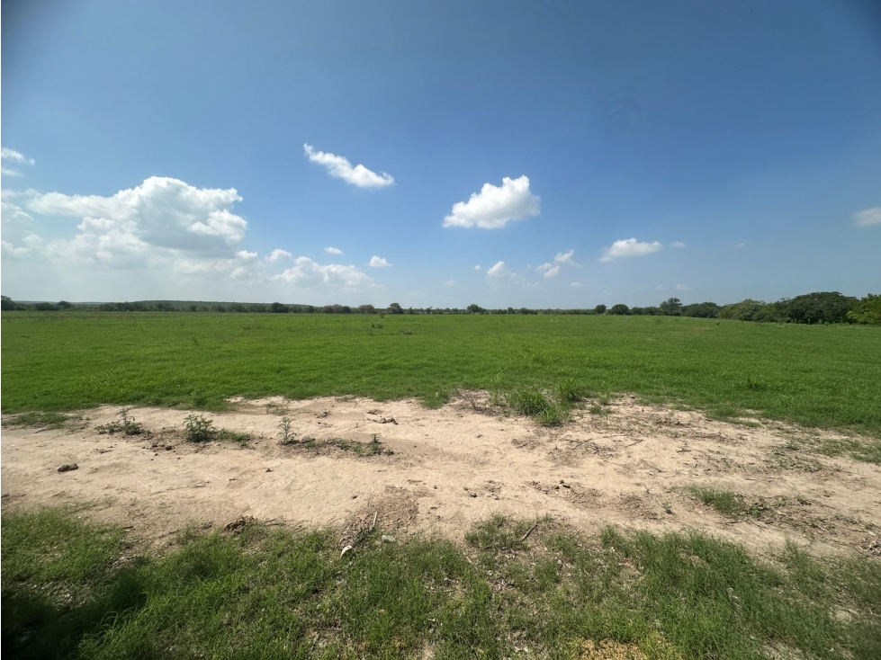 VENTA RANCHO XICOTENCATL TAMAULIPAS - 4