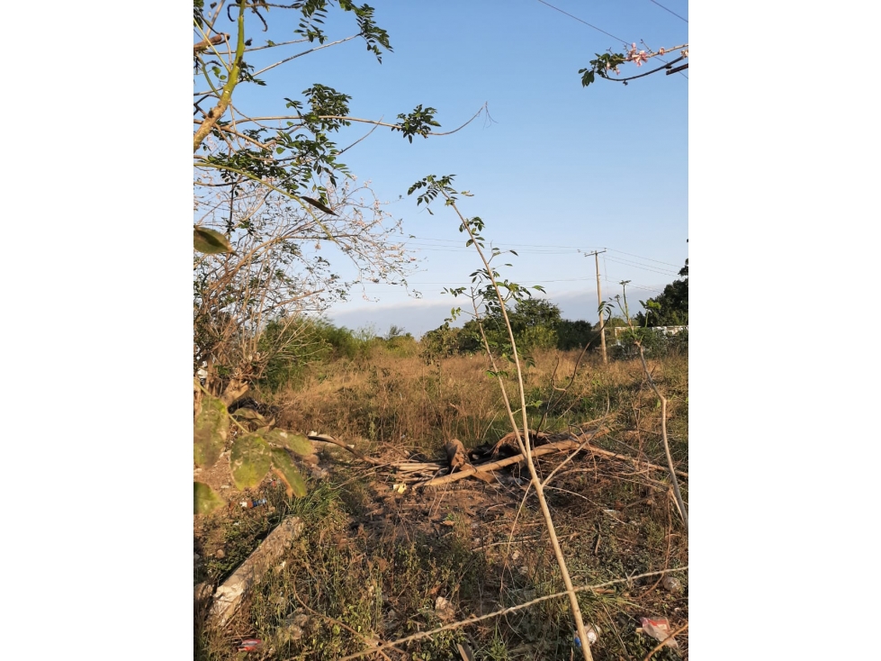 RENTA TERRENO BOULEVARD ALLENDE ALTAMIRA TAMAULIPAS — foto 5