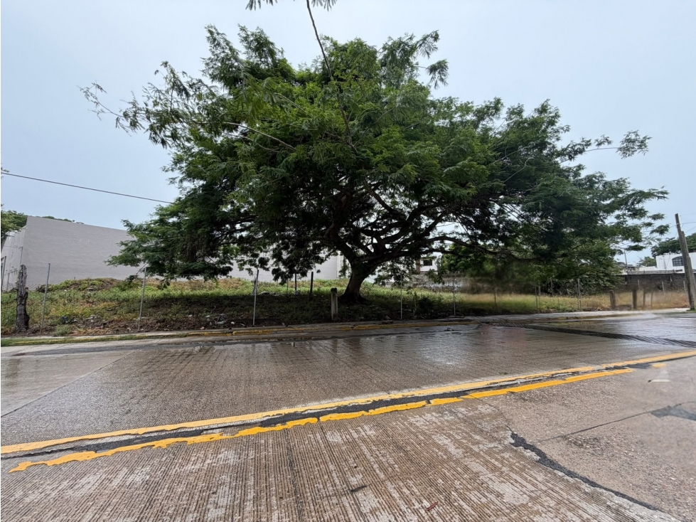 RENTA TERRENO LOMAS DE ROSALES TAMPICO TAMAULIPAS - 1