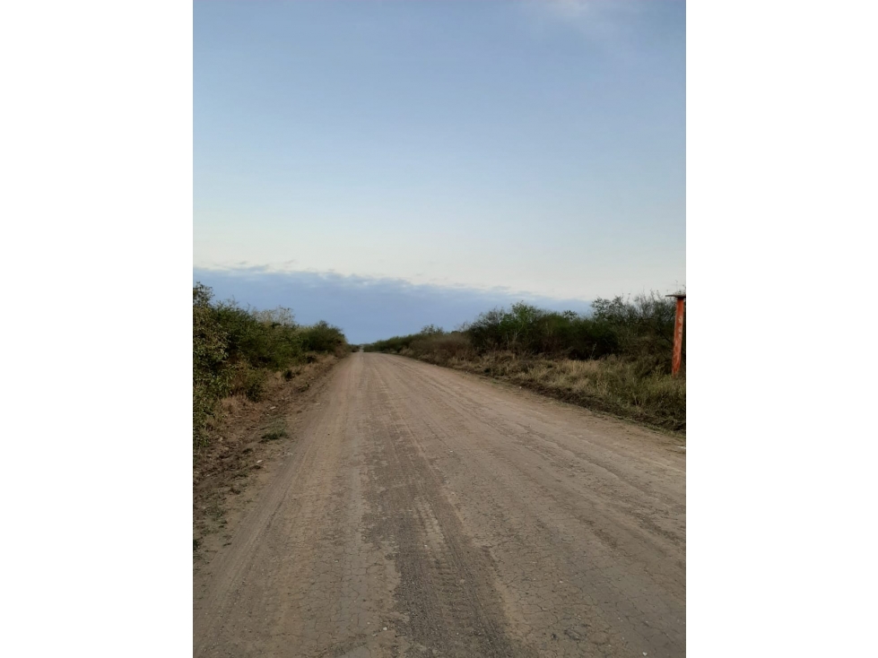 RENTA TERRENO BRECHA DEL CHOCOLATE ALTAMIRA TAMAULIPAS — foto 2
