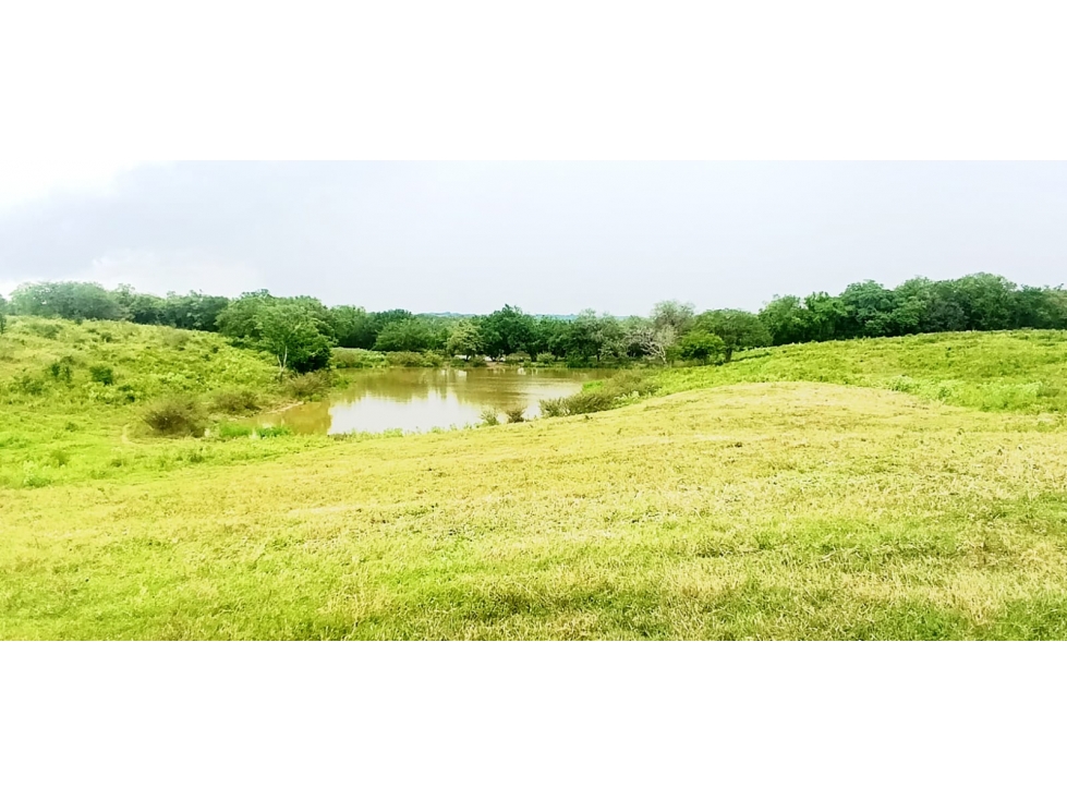 VENTA RANCHO LAS CONCHITAS TEMPOAL VERACRUZ - 2