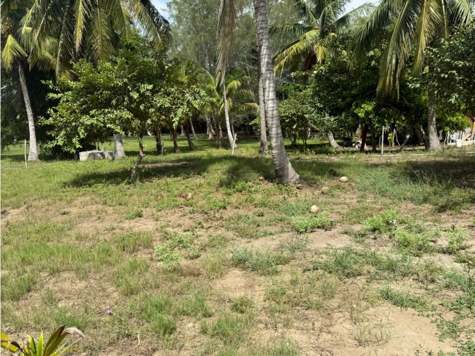 VENTA TERRENO PLAYA RIBERA CABO ROJO VERACRUZ - 2