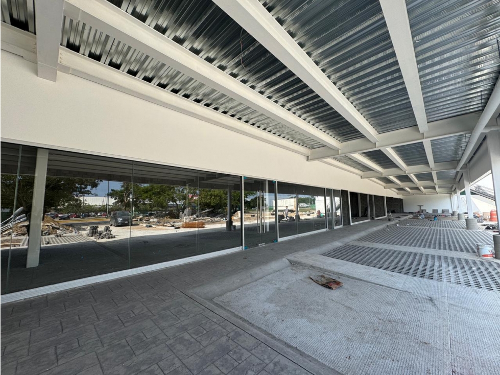 RENTA LOCAL AVENIDA EJERCITO MEXICANO TAMPICO TAMAULIPAS - 1