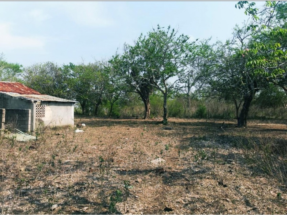 VENTA RANCHO TAMPICO ALTO VERACRUZ - 2