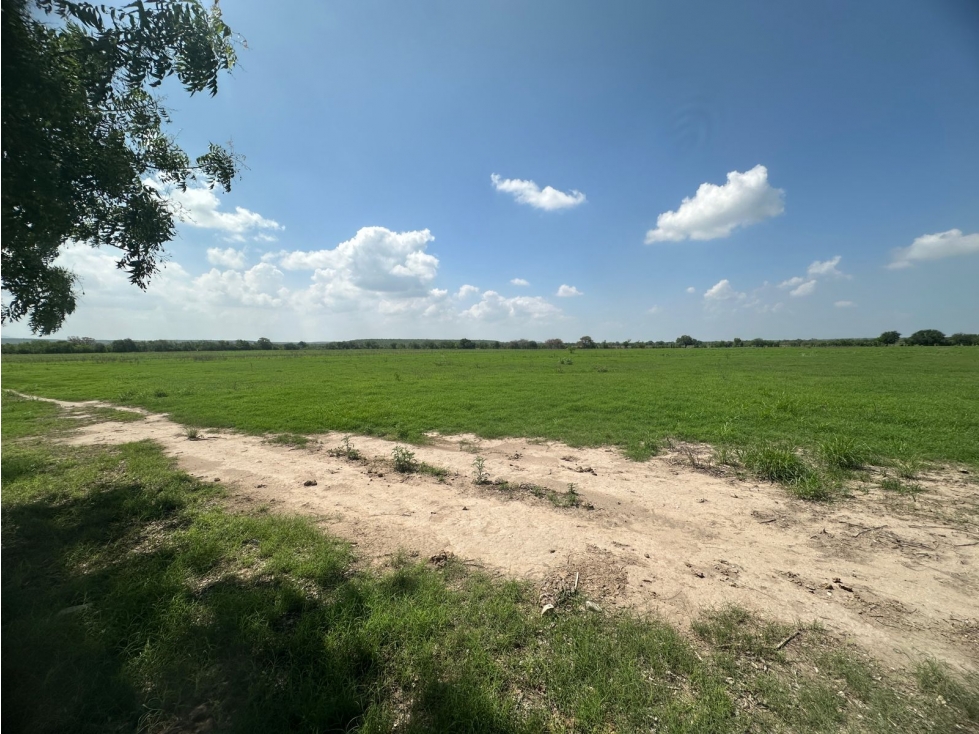 VENTA RANCHO XICOTENCATL TAMAULIPAS - 5