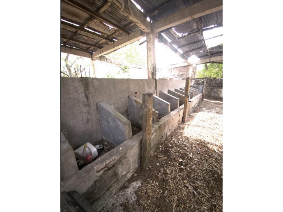 VENTA RANCHO TAMPICO ALTO VERACRUZ - 4