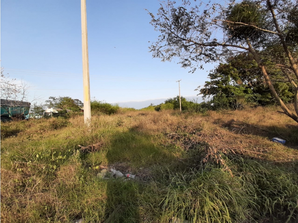 RENTA TERRENO BOULEVARD ALLENDE ALTAMIRA TAMAULIPAS — foto 3