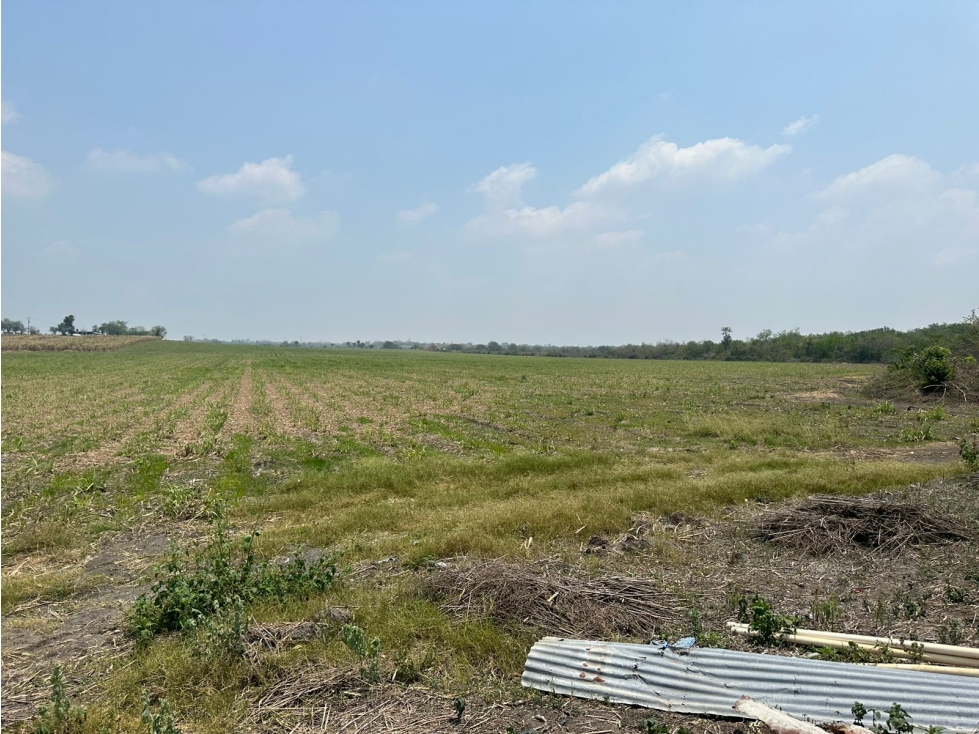 VENTA RANCHO EX HACIENDA DE SAN BARTOLO PANUCO VERACRUZ - 3