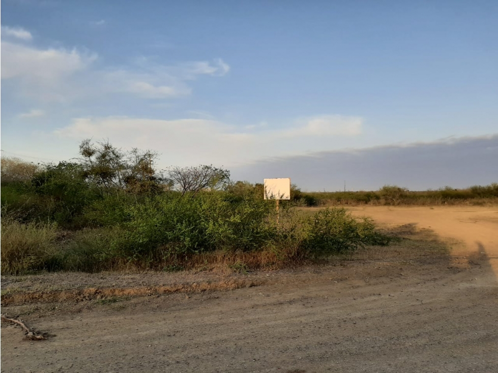 RENTA TERRENO BRECHA DEL CHOCOLATE ALTAMIRA TAMAULIPAS — foto 3