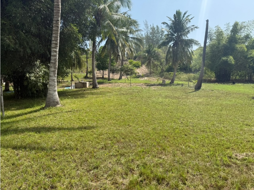 VENTA TERRENO PLAYA RIBERA CABO ROJO VERACRUZ - 3