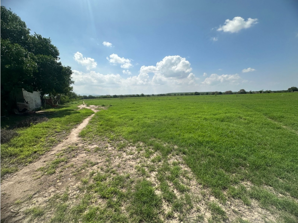 VENTA RANCHO XICOTENCATL TAMAULIPAS - 6