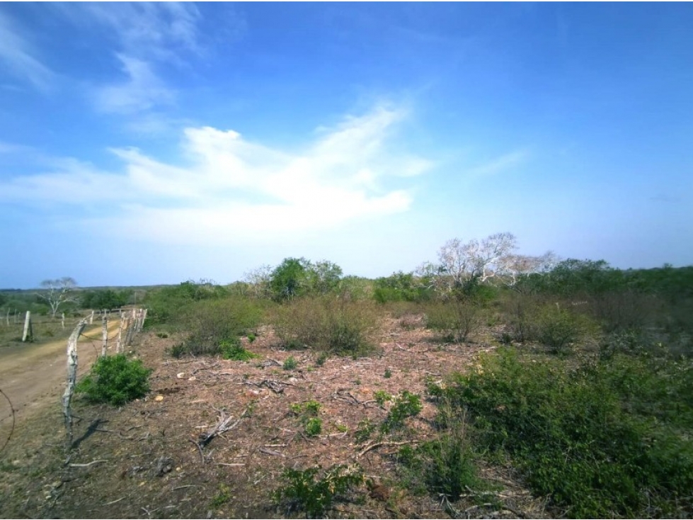 VENTA RANCHO TAMPICO ALTO VERACRUZ - 5