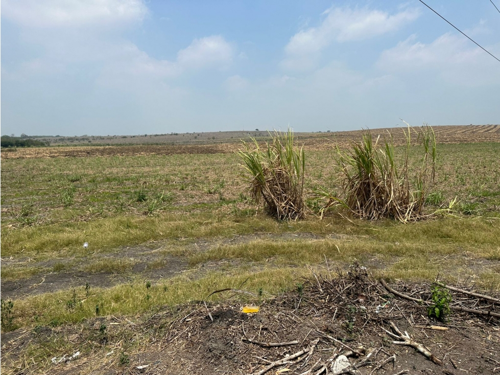 VENTA RANCHO EX HACIENDA DE SAN BARTOLO PANUCO VERACRUZ - 4