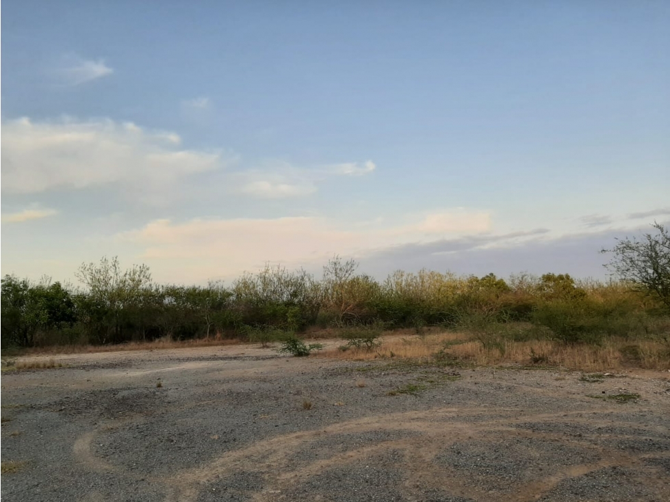 RENTA TERRENO BRECHA DEL CHOCOLATE ALTAMIRA TAMAULIPAS — foto 4