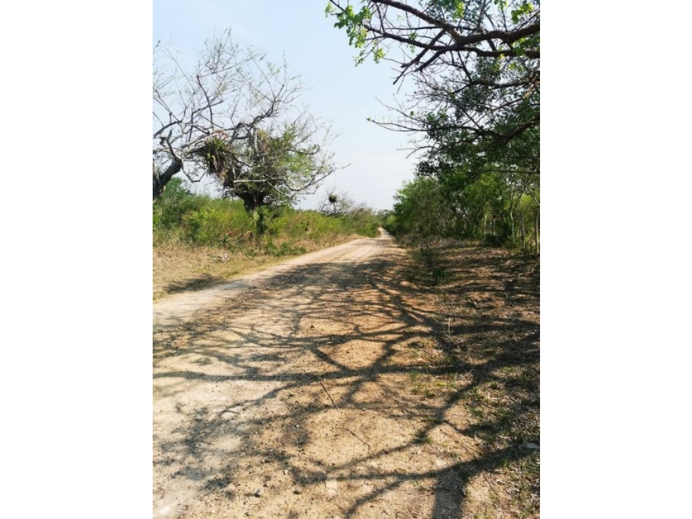 VENTA RANCHO TAMPICO ALTO VERACRUZ - 6