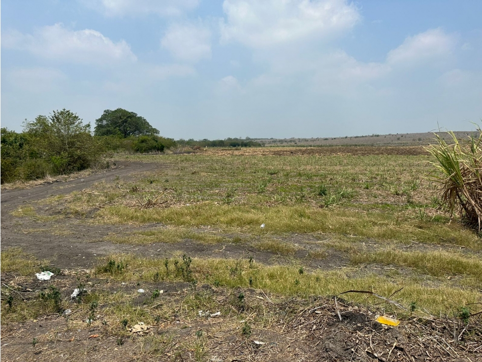 VENTA RANCHO EX HACIENDA DE SAN BARTOLO PANUCO VERACRUZ - 5