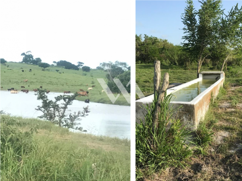 VENTA RANCHO LA QUERENCIA SOTO LA MARINA TAMAULIPAS - 2