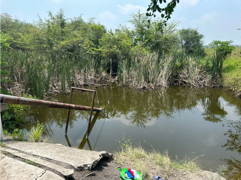 VENTA RANCHO EX HACIENDA DE SAN BARTOLO PANUCO VERACRUZ - 6