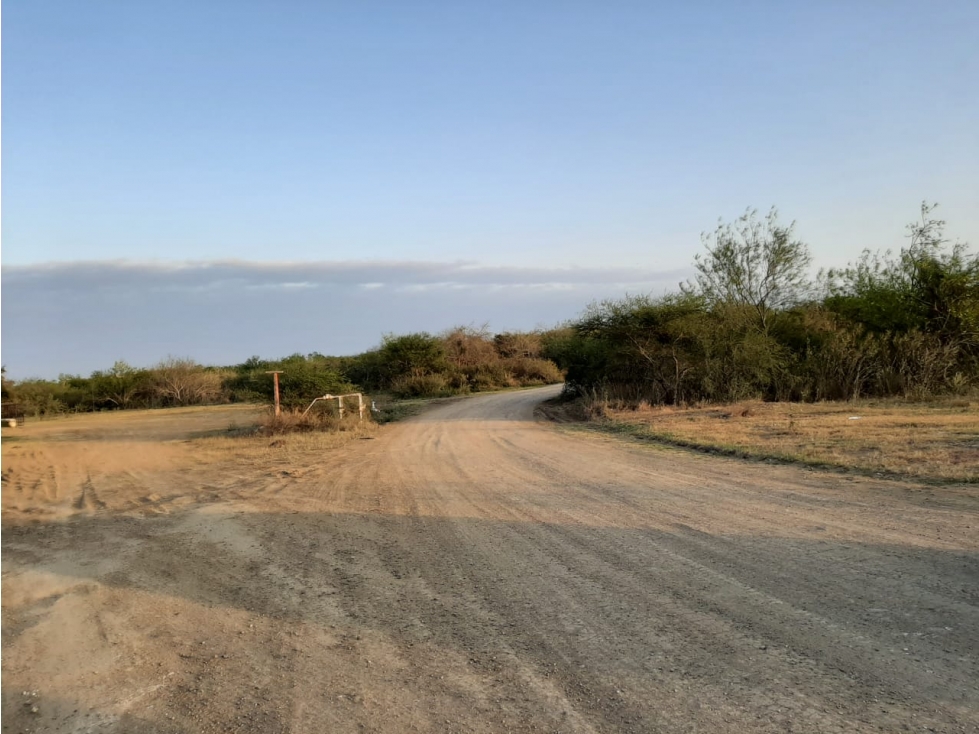 RENTA TERRENO BRECHA DEL CHOCOLATE ALTAMIRA TAMAULIPAS