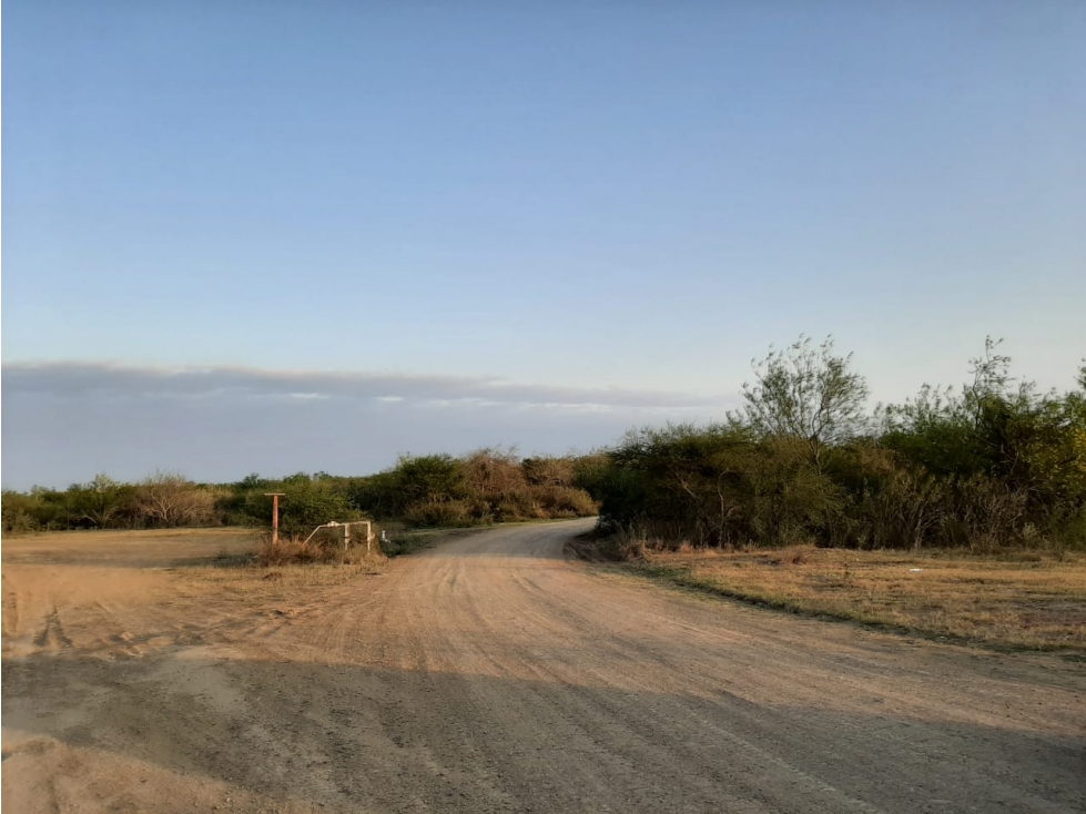 RENTA TERRENO BRECHA DEL CHOCOLATE ALTAMIRA TAMAULIPAS — foto 6