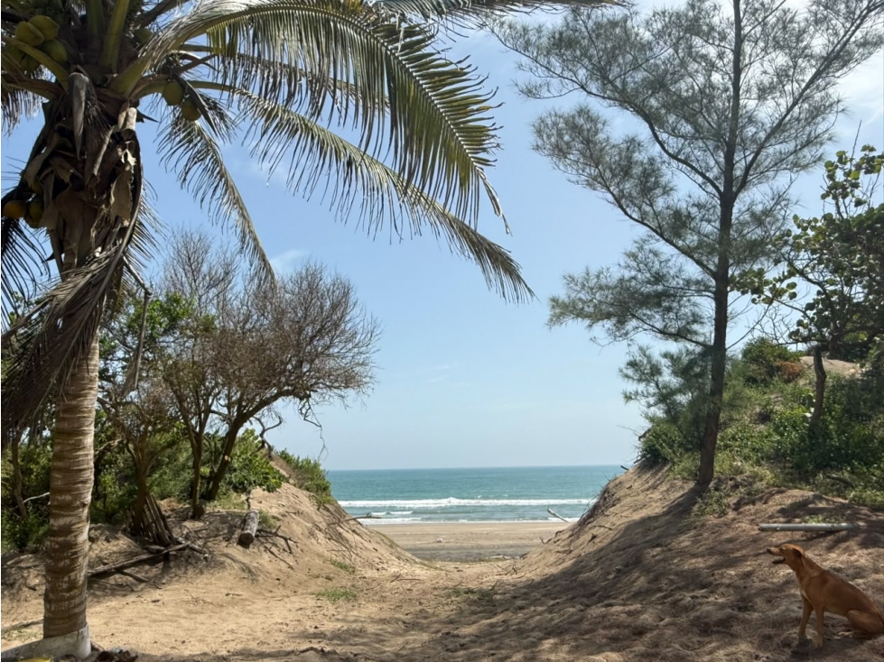 VENTA TERRENO PLAYA RIBERA CABO ROJO VERACRUZ - 1