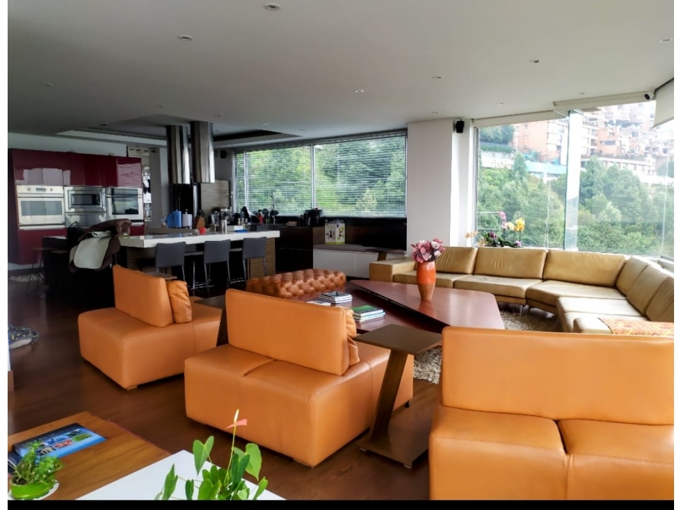 VENTA APARTAMENTO PENTHOUSE CHICO ORIENTAL — foto 2