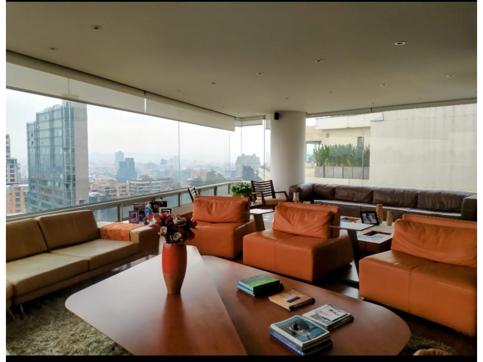 VENTA APARTAMENTO PENTHOUSE CHICO ORIENTAL — foto 3