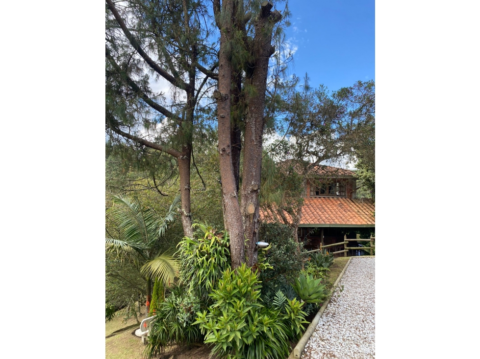 Venta Finca Piedras Blancas — foto 3