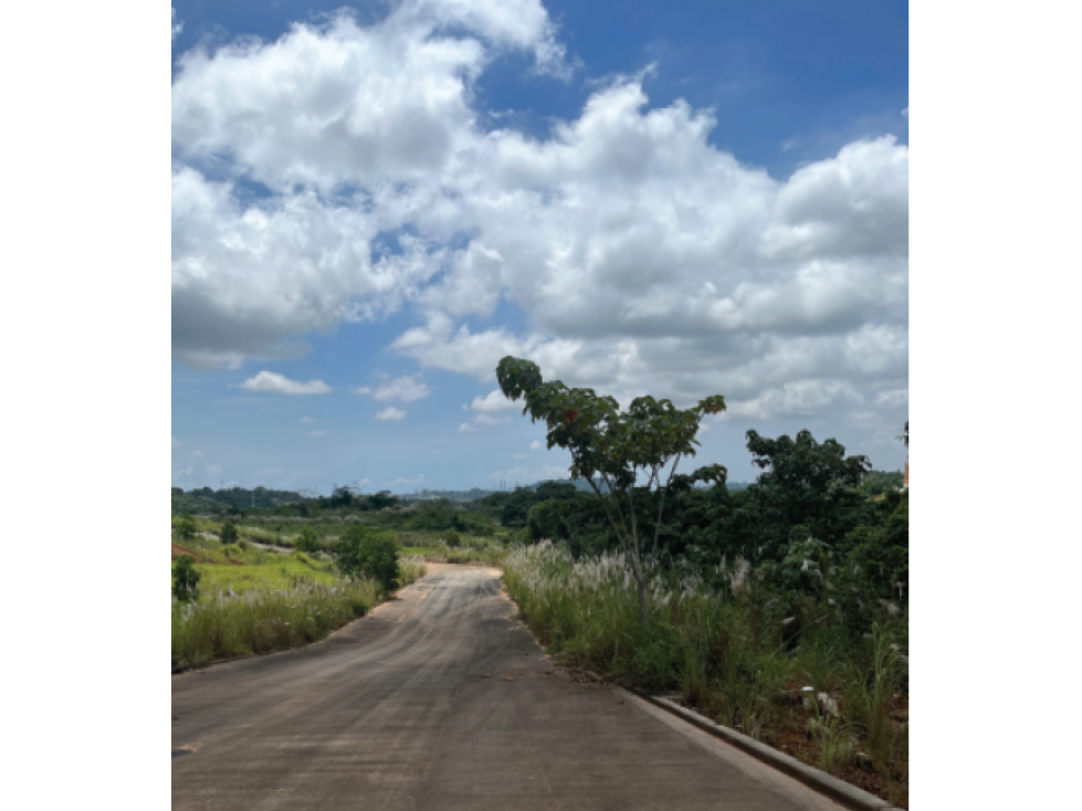 Terrenos en Venta Proyecto Green Valley - 1