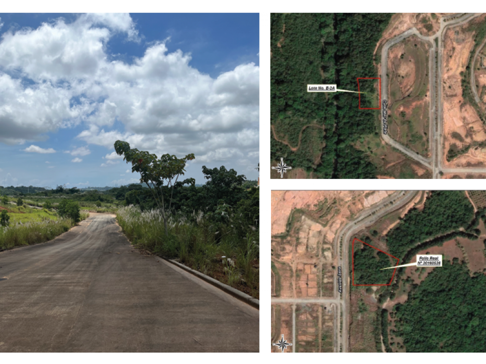 Proyecto Green Valley - 1