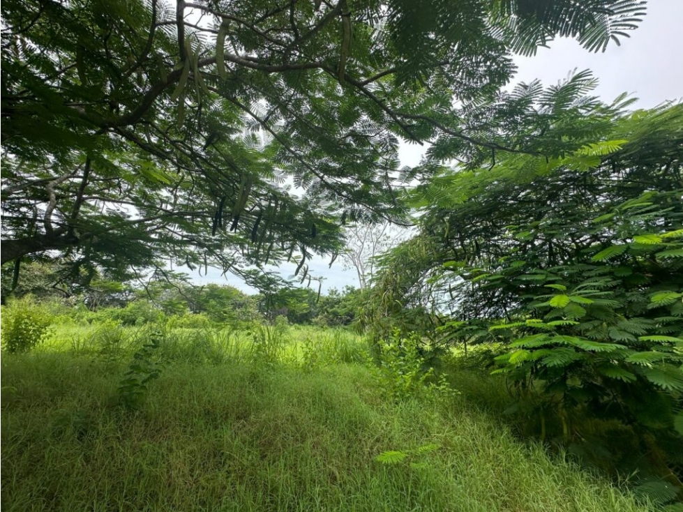 Terreno en Punta Roca ubicado en San Carlos