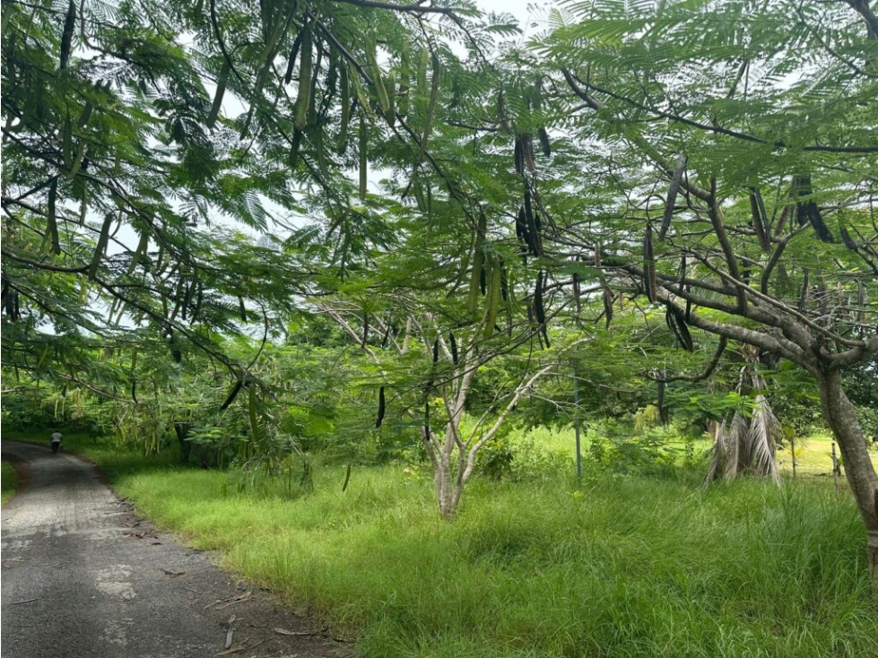 Terreno en Punta Roca ubicado en San Carlos