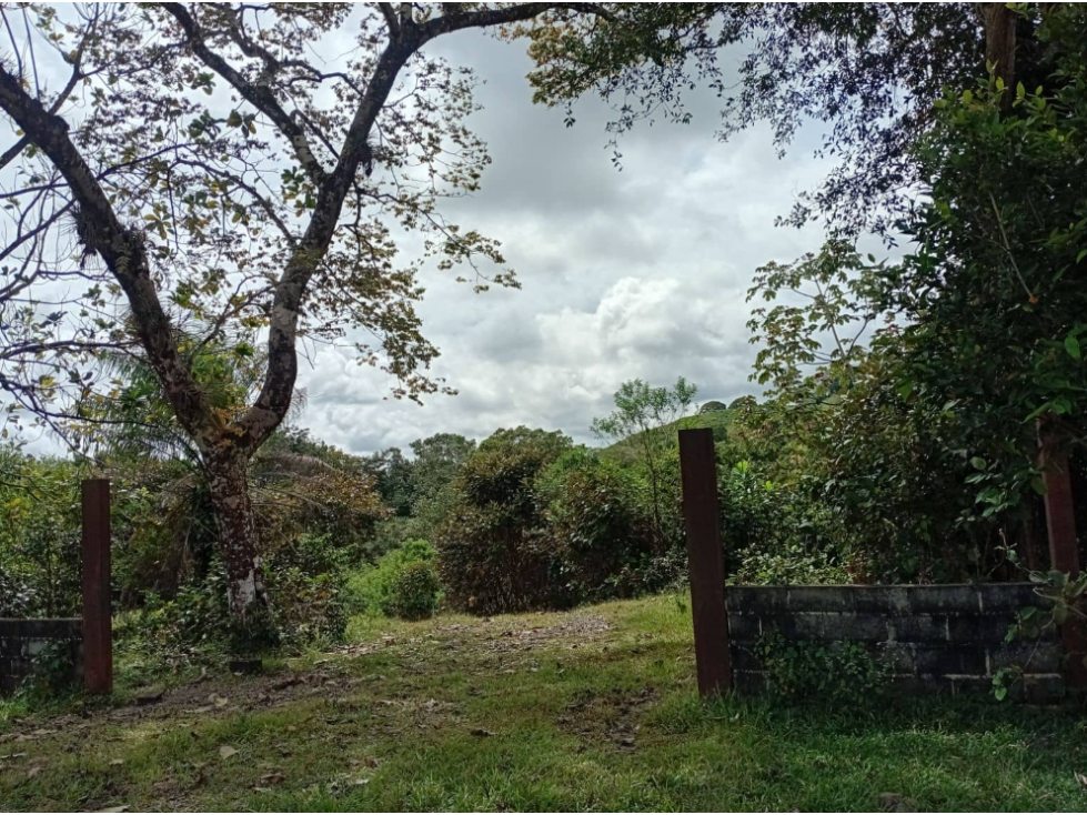 Terreno en venta en Santa Rosa, Chiriquí Los Algarrobos - 1