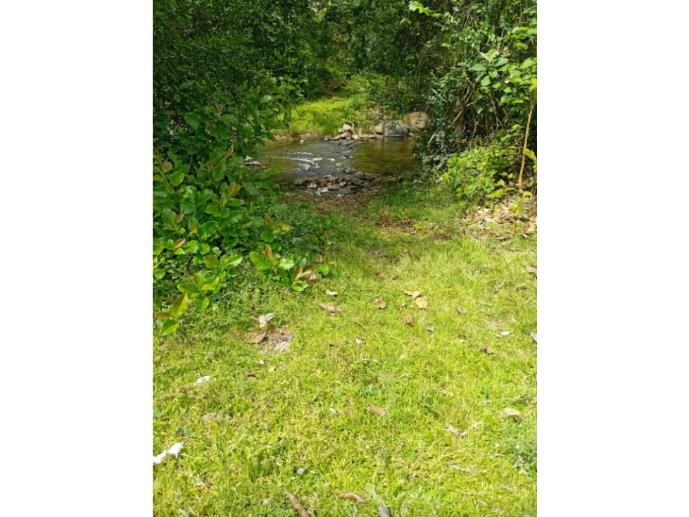 Terreno en venta en Santa Rosa, Chiriquí Los Algarrobos - 2