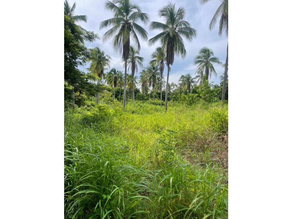Lote de Terreno en Venta - Vía Playa El Rompío - 4
