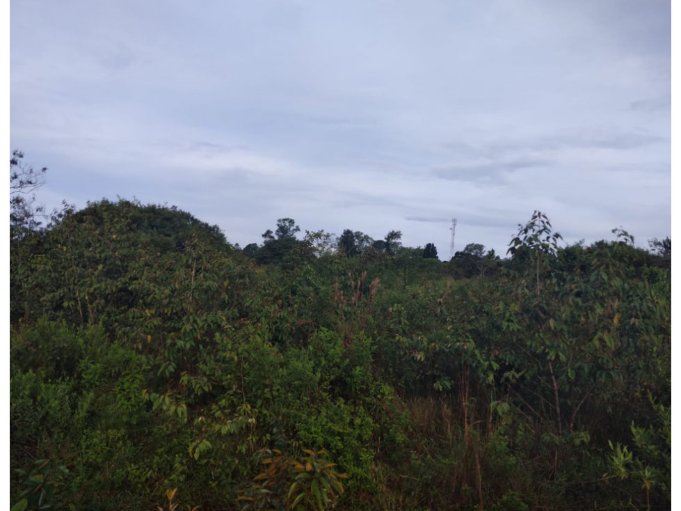 Terreno en Venta en Potrerillo abajo, Chiriquí, Dolega, Zona urbana - 3