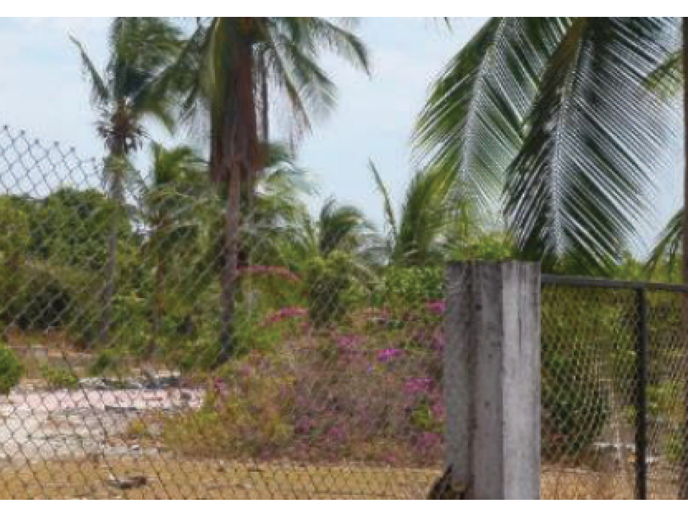 Terreno Playa Gorgona — foto 2