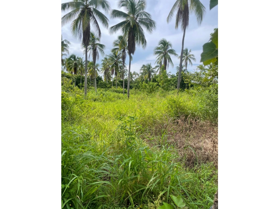Lote de Terreno en Venta - Vía Playa El Rompío - 3