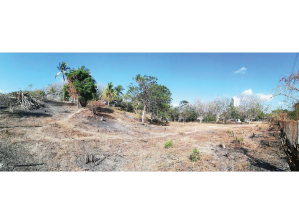 Terreno Playa Gorgona