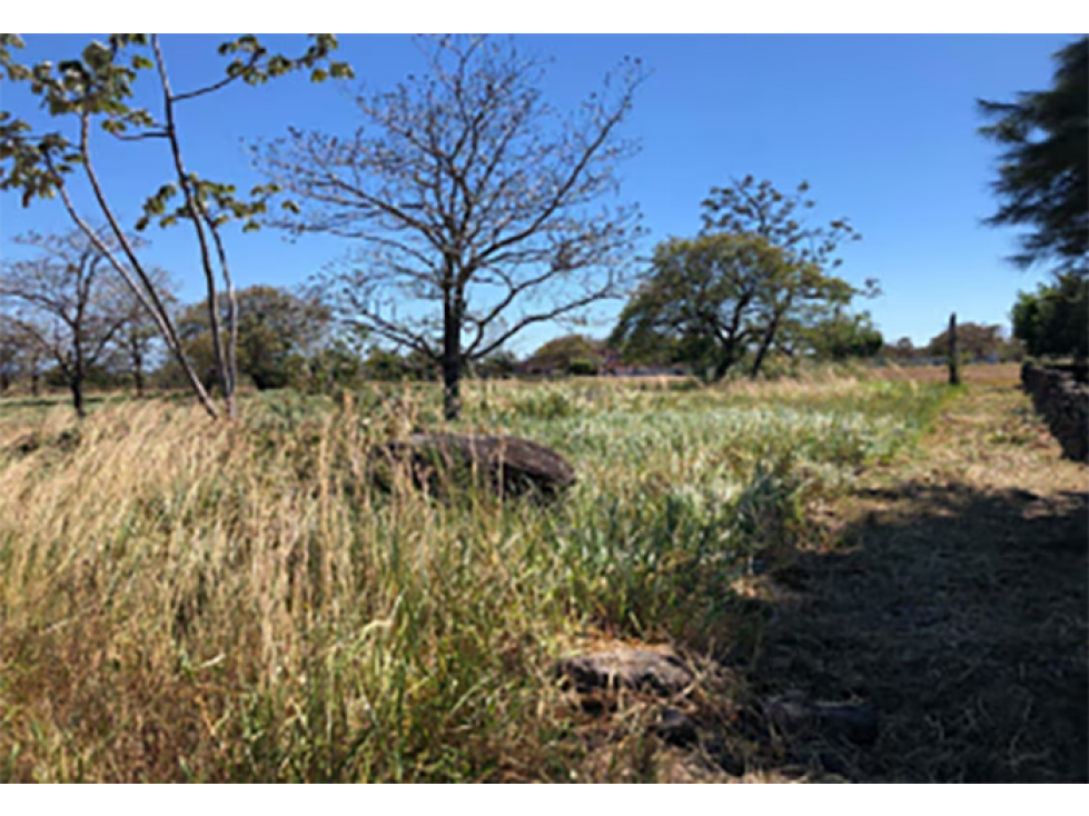 Terreno en Venta en Chiriqui, Montañas De Caldera — foto 4