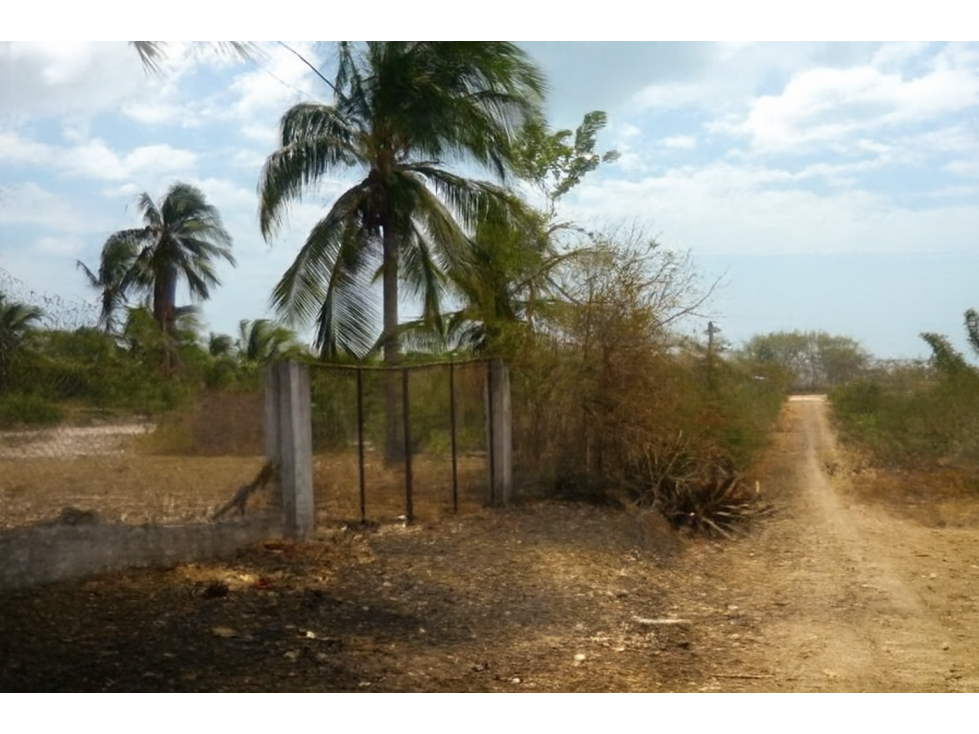 Terreno Playa Gorgona — foto 3