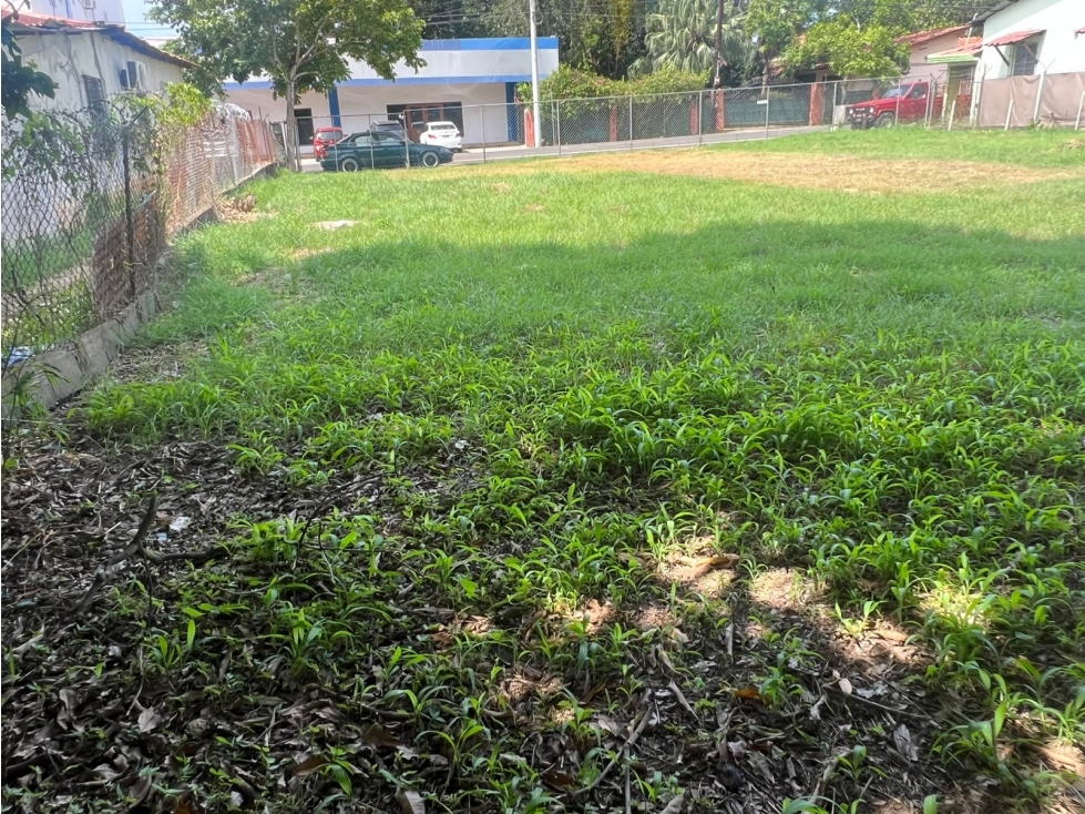 Lote de Terreno en Venta - La Villa de Los Santos - 6