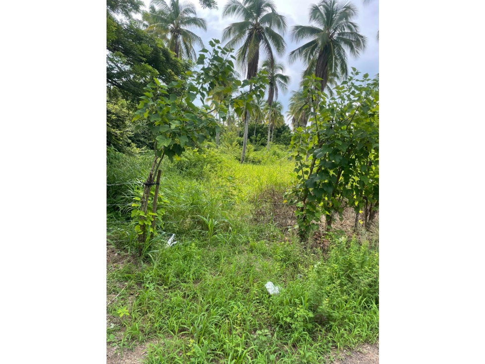 Lote de Terreno en Venta - Vía Playa El Rompío - 5