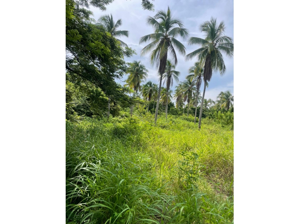 Lote de Terreno en Venta - Vía Playa El Rompío - 6