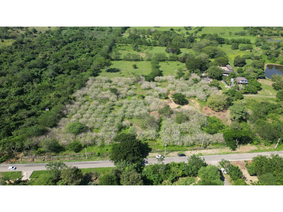 Mares de Juan de Acosta - 6