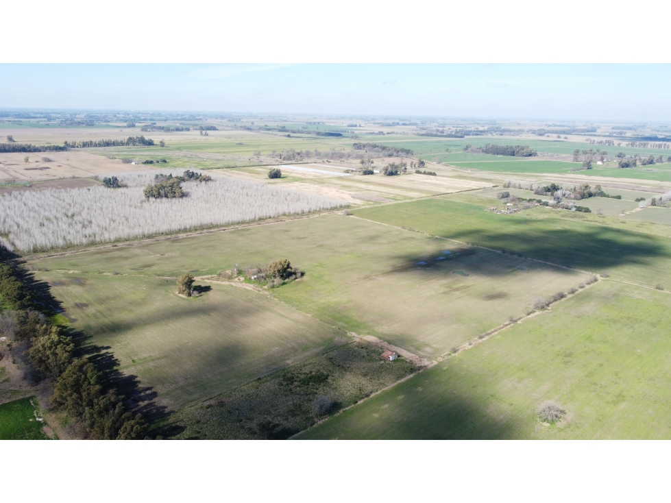 Campo 35 has agricolas en Jauregui - 6