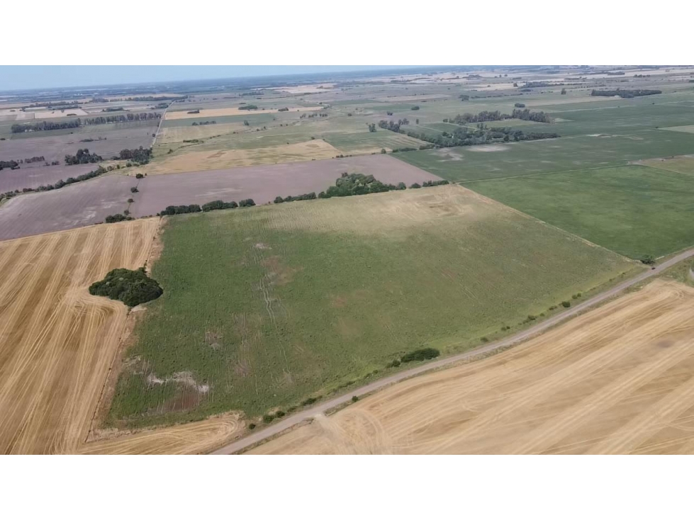 campo de 29 has agricolas en Venta en Villa Ruiz - 2