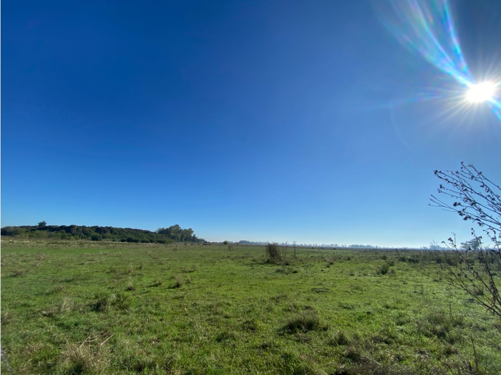 Campo de 52,6 has en venta cercano a plomer - Gral Las Heras - 4