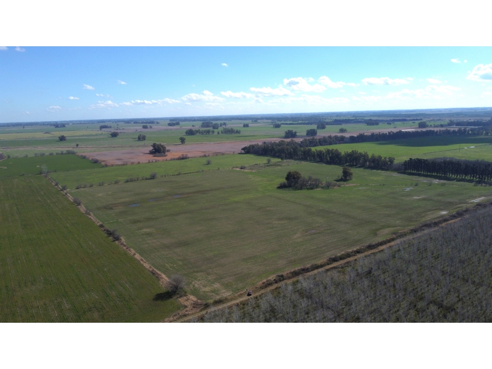 Campo 35 has agricolas en Jauregui - 1